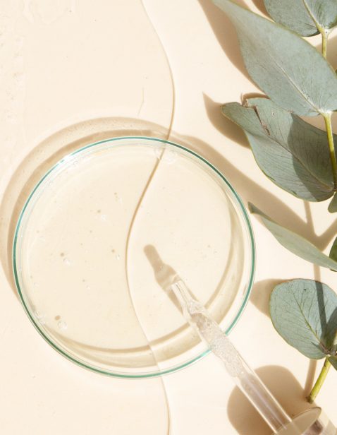 Glass petri dish with transparent pure serum Glass petri dish with transparent pure serum and eucaliptus for skin care on neutral beige background, top view. Concept laboratory tests and research, making and testing cosmetic