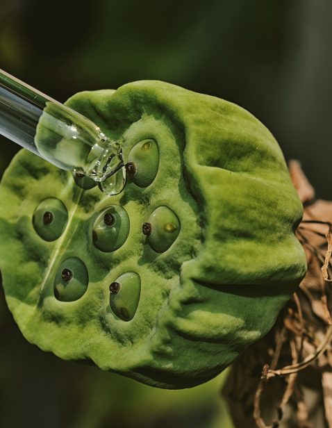 Natural extraction, Scientist drop essence for plant test, Alternative organic green herb plant medicine, Skincare beauty products, Biology research and development concept. Natural extraction, Scientist drop essence for plant test, Alternative organic green herb plant medicine, Skincare beauty products, Biology research and development concept.